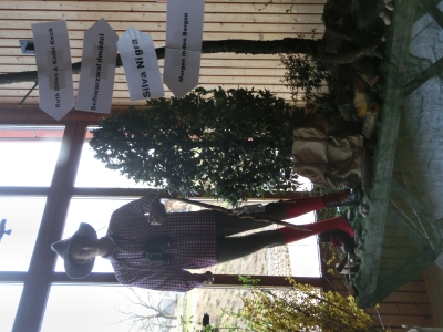 Jahreskonzert 2016_1